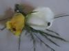 Buttonhole for groom Michelle Barnes and Evan Olivier at Owls Nest
